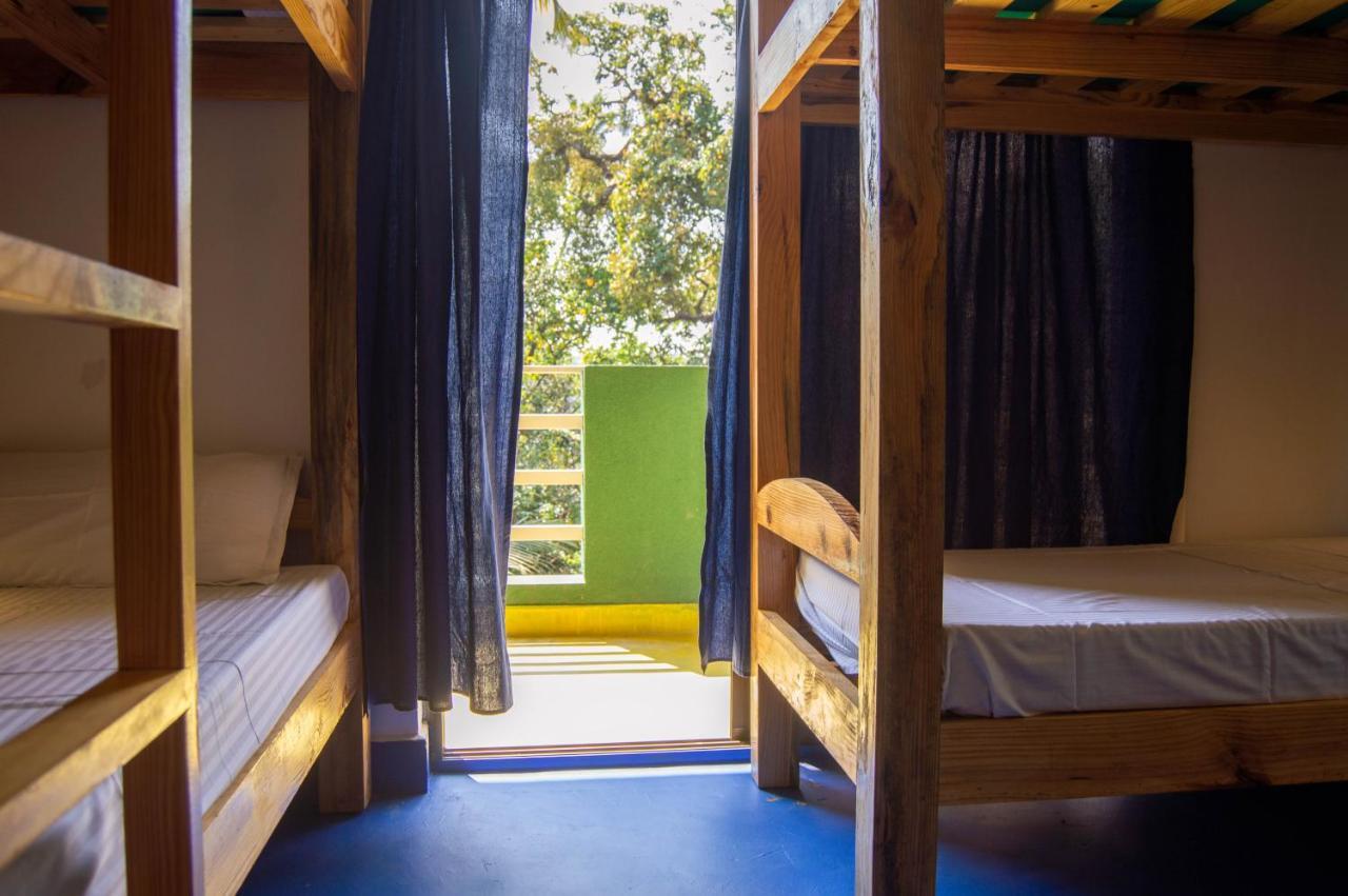 Green Nest Hostel, Baga- North Goa อาร์โปรา ภายนอก รูปภาพ